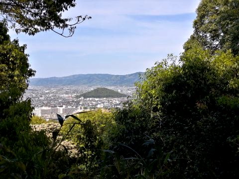 畝傍山頂からの耳成山