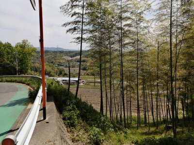 朱智神社まで急坂が続く