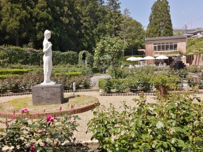 霊山寺バラ庭園