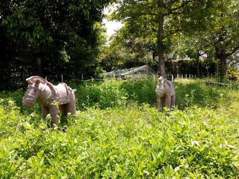 菅原東遺跡・埴輪窯跡群