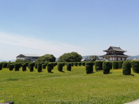 大極殿・南門（復元工事中）