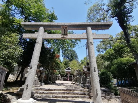 新しくなった鳥居