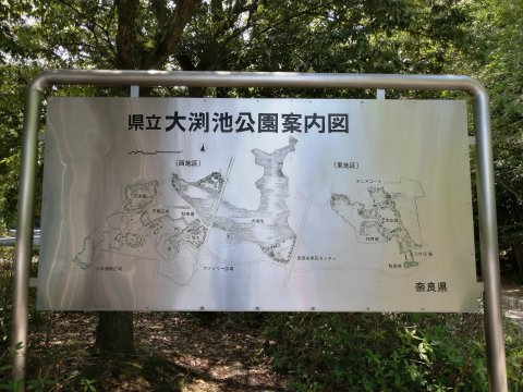 大渕池公園案内板