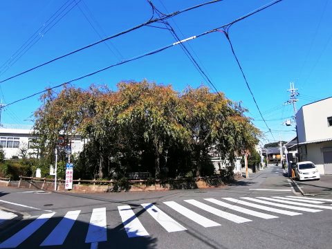 大仏鉄道記念公園