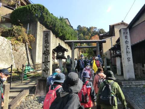 日向大神宮 参道鳥居