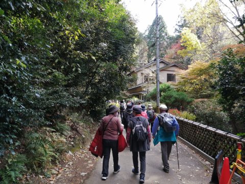 日向大神宮参道