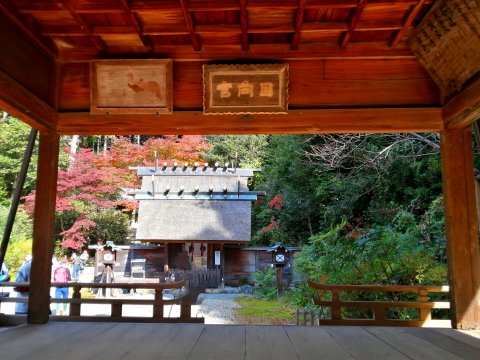 日向大神宮(外宮)