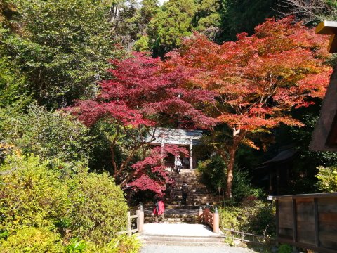 日向大神宮(内宮)