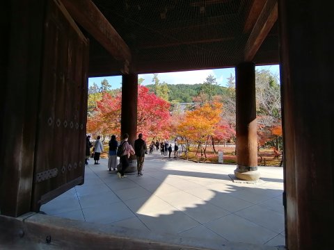 三門を通して紅葉