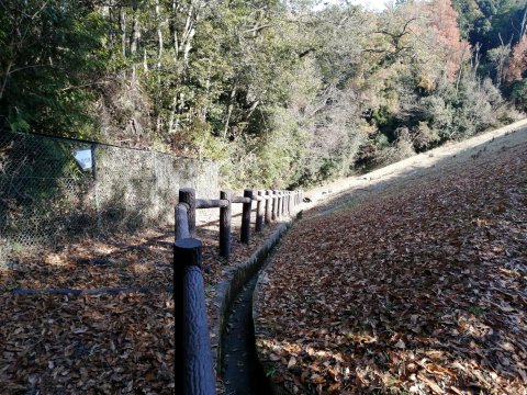 饒速日命墳墓へ