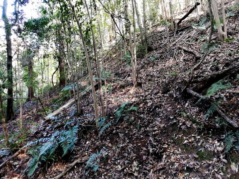 迷って引き返す