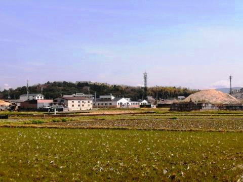 登彌神社のある丘