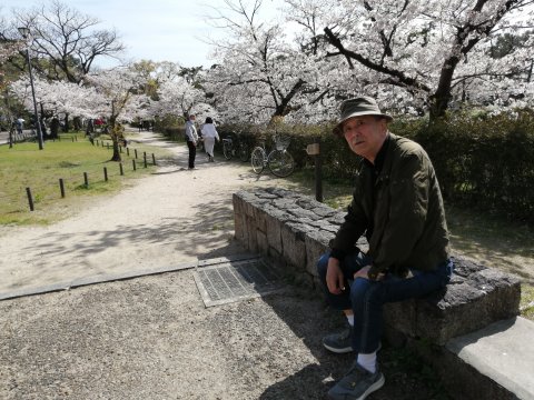 桜をバックにして