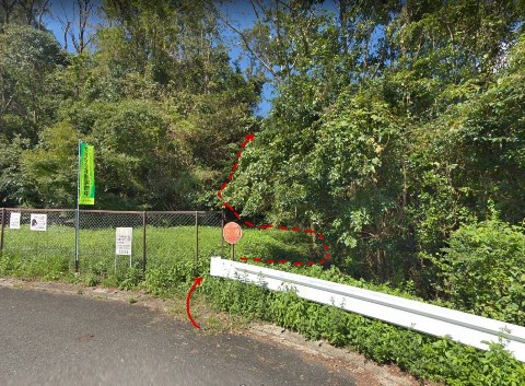 ここから墳墓を目指す