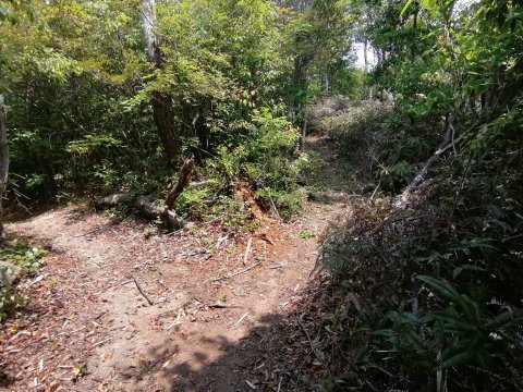 分かれ道を右へ