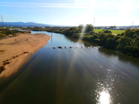 開橋から木津川