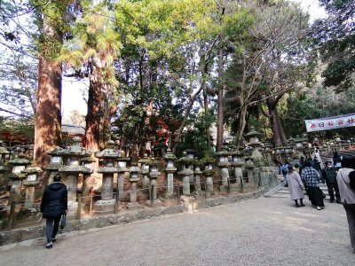 春日大社参道