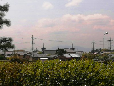 薬師寺両塔を遠望
