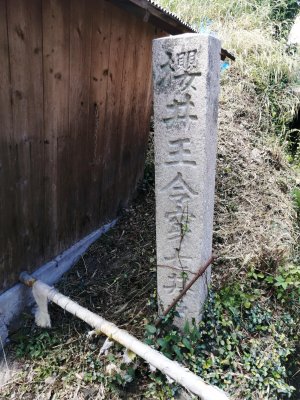 櫻井王令穿七井戸