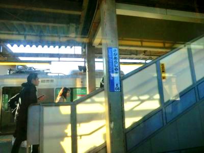 JR嵯峨野線嵯峨嵐山駅