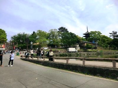 猿沢の池・興福寺