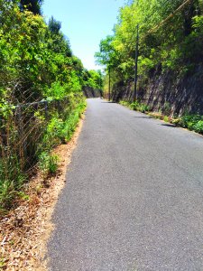 京奈和道側道下り坂