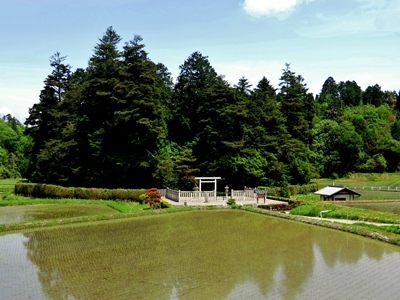 49.光仁天皇田原東陵